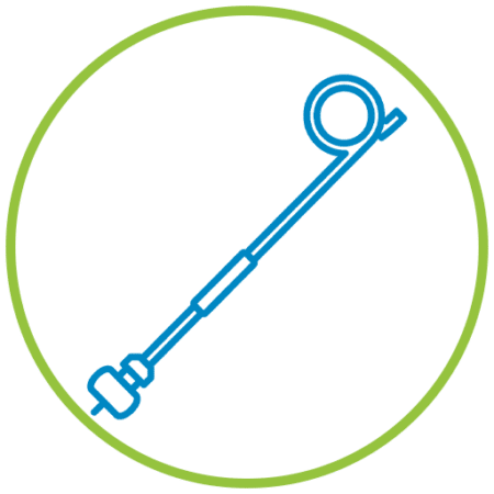 Cerebral Catheterization