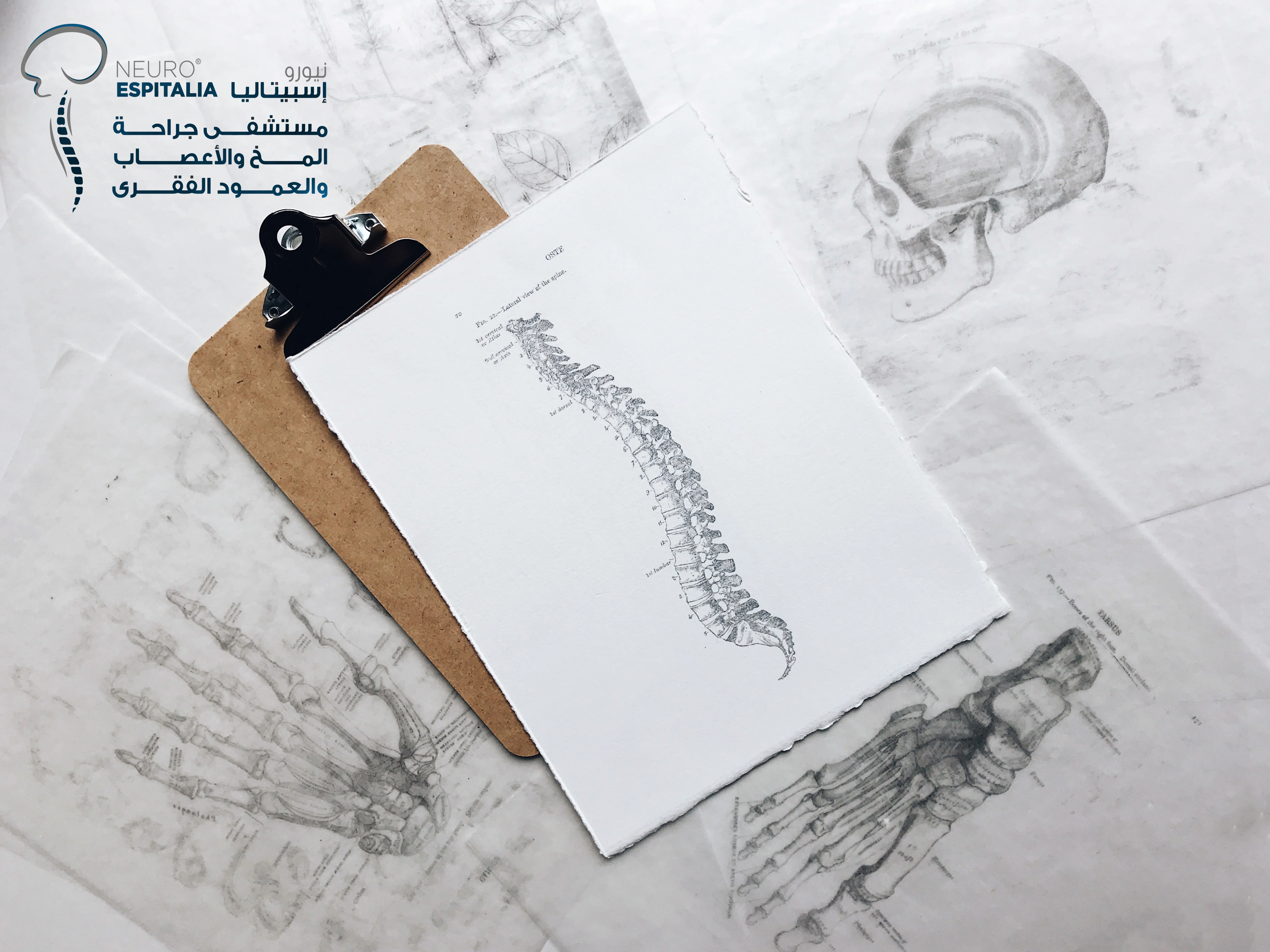 مشاكل العمود الفقري